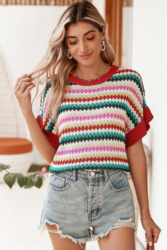 Pre-Order Nothing To Lose Knit Colorblock Top